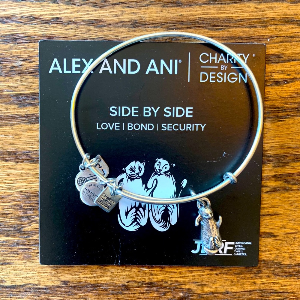 Alex and Ani otter silver charm bracelet